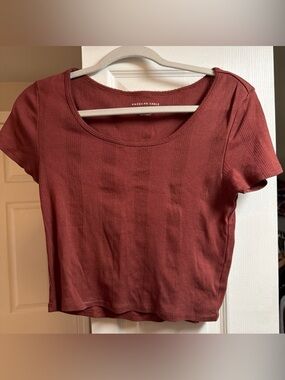 American Eagle Outfitters Short Scoop Neck Crop Top in Rust Red Size M